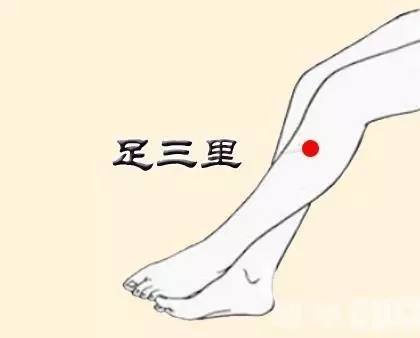 胃下垂十二指肠淤滞,治疗胃十二指肠溃疡的最佳穴位