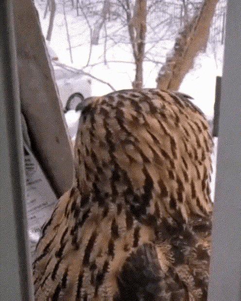 上厕所没有厕纸只能用绳子,上厕所没有卫生纸能用吗