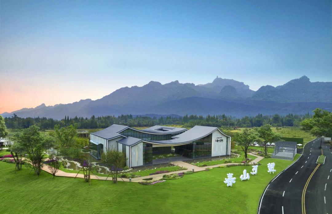 城市观察合肥,城市观察城市生活