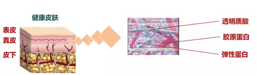 护肤美容真相,美容真相纪录片粉底液