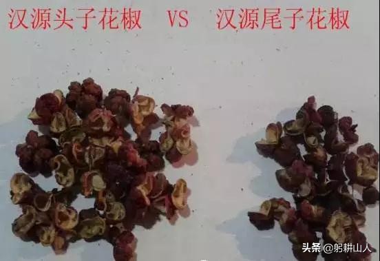 花椒要讲究品质不要只说价格 (为什么最近的花椒价格这么高)
