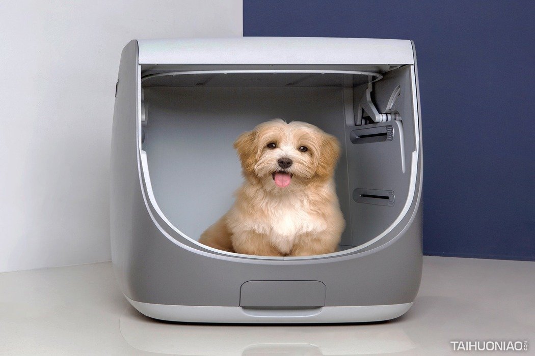 宠物洗澡烘干神器,智能宠物洗澡器