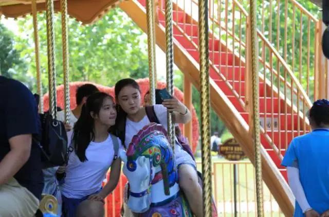 双十一过后，血槽已空，自我疗愈秘籍奉上！赶快接招！