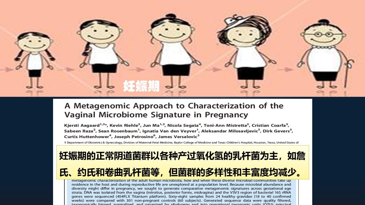 肖冰冰的小视频,肖冰冰讲的12生肖