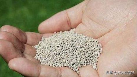 进入3月，农村集市上又将出现1种*局骗**，每年不少人上当，但愿没你