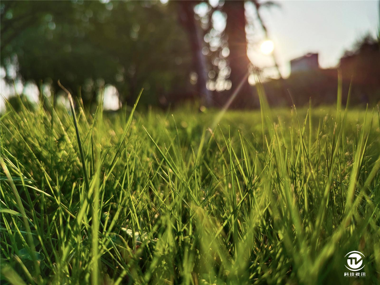 骁龙865的iqoo手机,iqoo5骁龙865开90帧