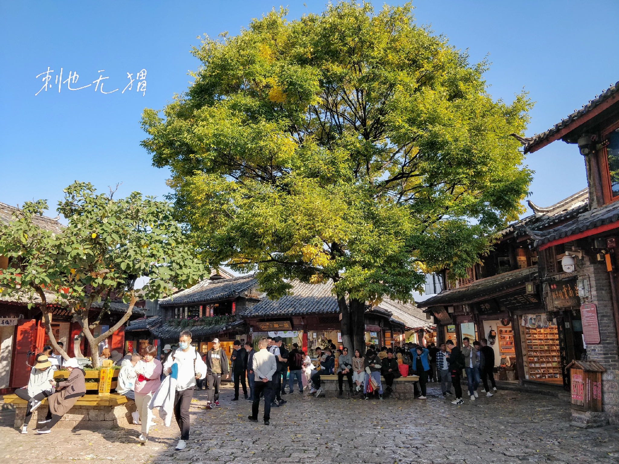 冬天适合去丽江旅游吗,冬天云南丽江旅游全攻略