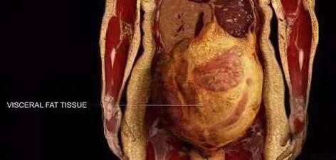 怎样区分肚子大是因为肉还是孩子,肚子大肉肉多怎么减少