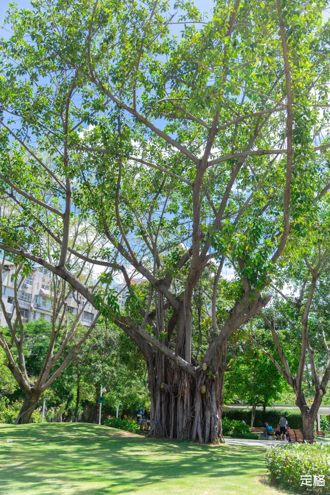 深圳大鹏小众村庄,超小众拍照圣地深圳