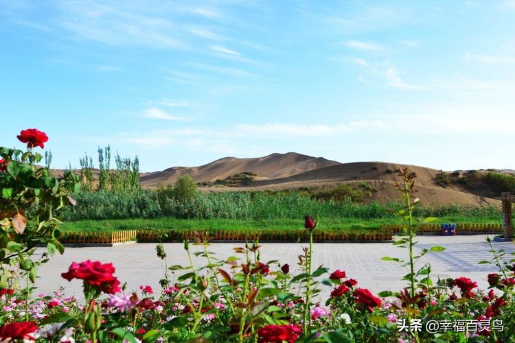 有了这攻略,自驾*藏西**游省心很多