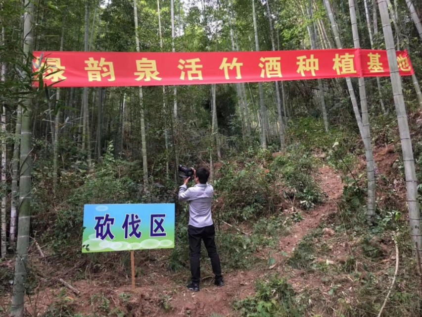 绿韵泉竹酒图片,绿韵泉活竹酒洛宁