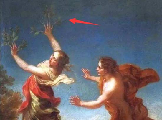 全球最美十种花,世界公认的九大最美花