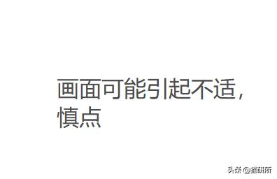 可爱又萌的小奶猫,软萌小奶猫全部视频