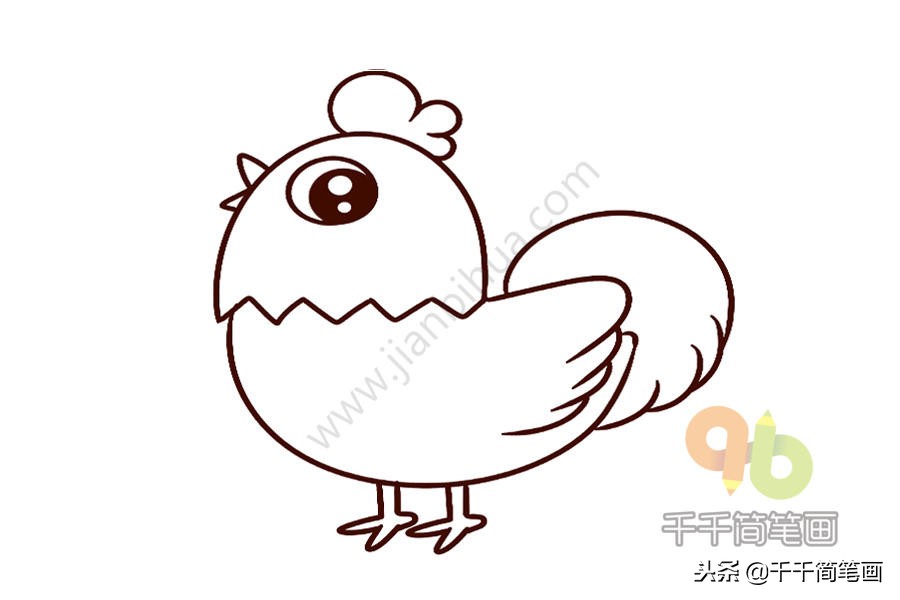大公鸡和小蝴蝶的简笔画,大公鸡和兔子简笔画