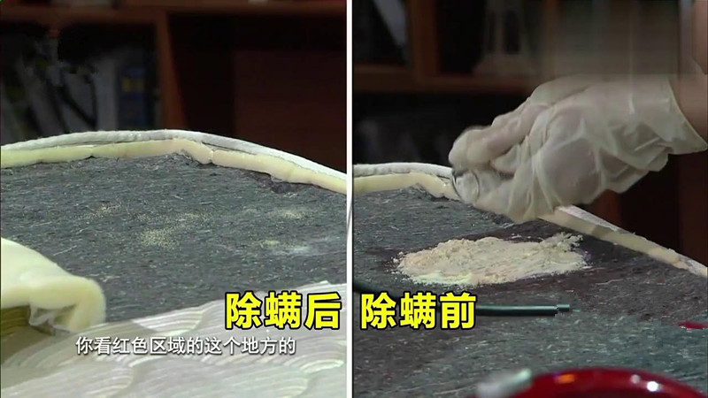 家庭除螨虫最好的神器,家里除螨虫最好的神器