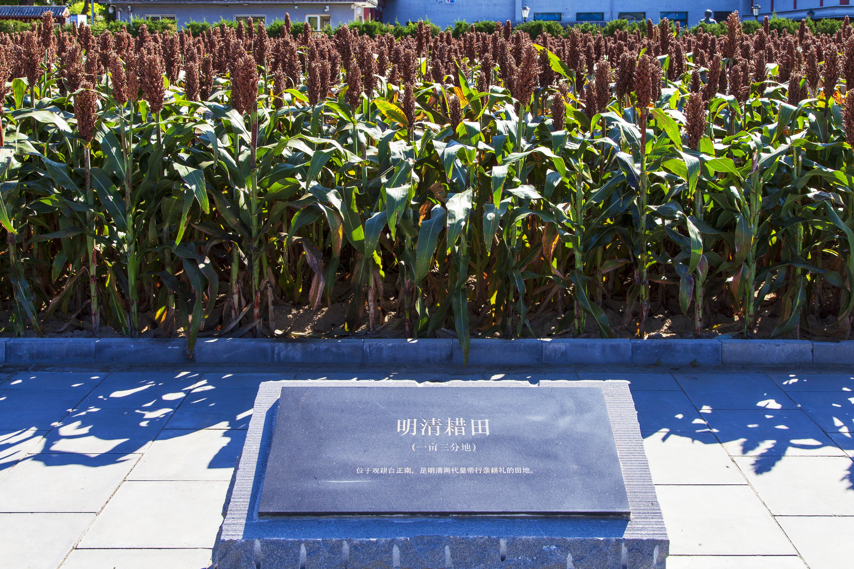 五坛八庙有先农坛吗,北京五坛先农坛