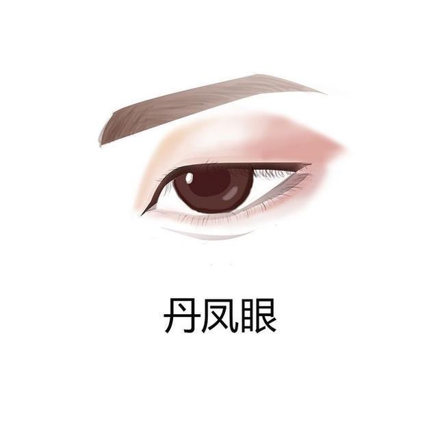 不知道自己是瑞凤眼还是桃花眼,瑞凤眼最漂亮的眼型