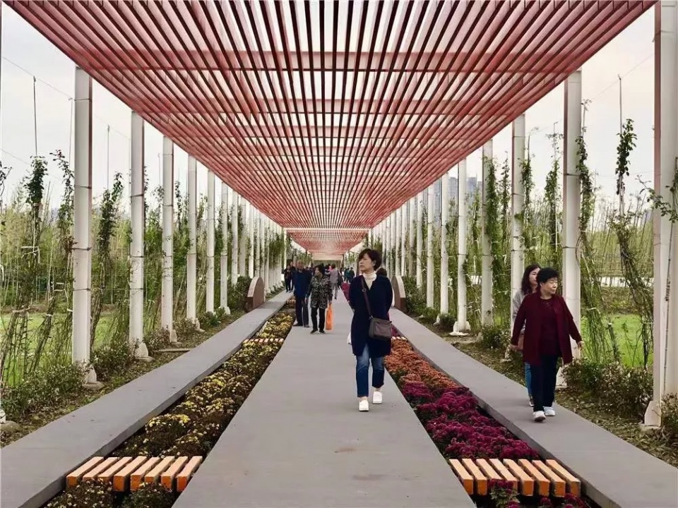 城南即将开放的公园,公园五一开放