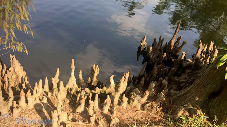 越南河内景点胡志明陵,越南帝王游胡志明