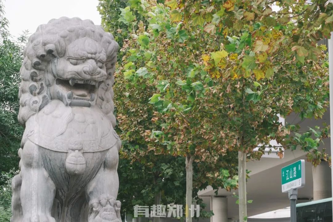 郑州金水路房价5万元,郑州金水区南阳路二手房价多少