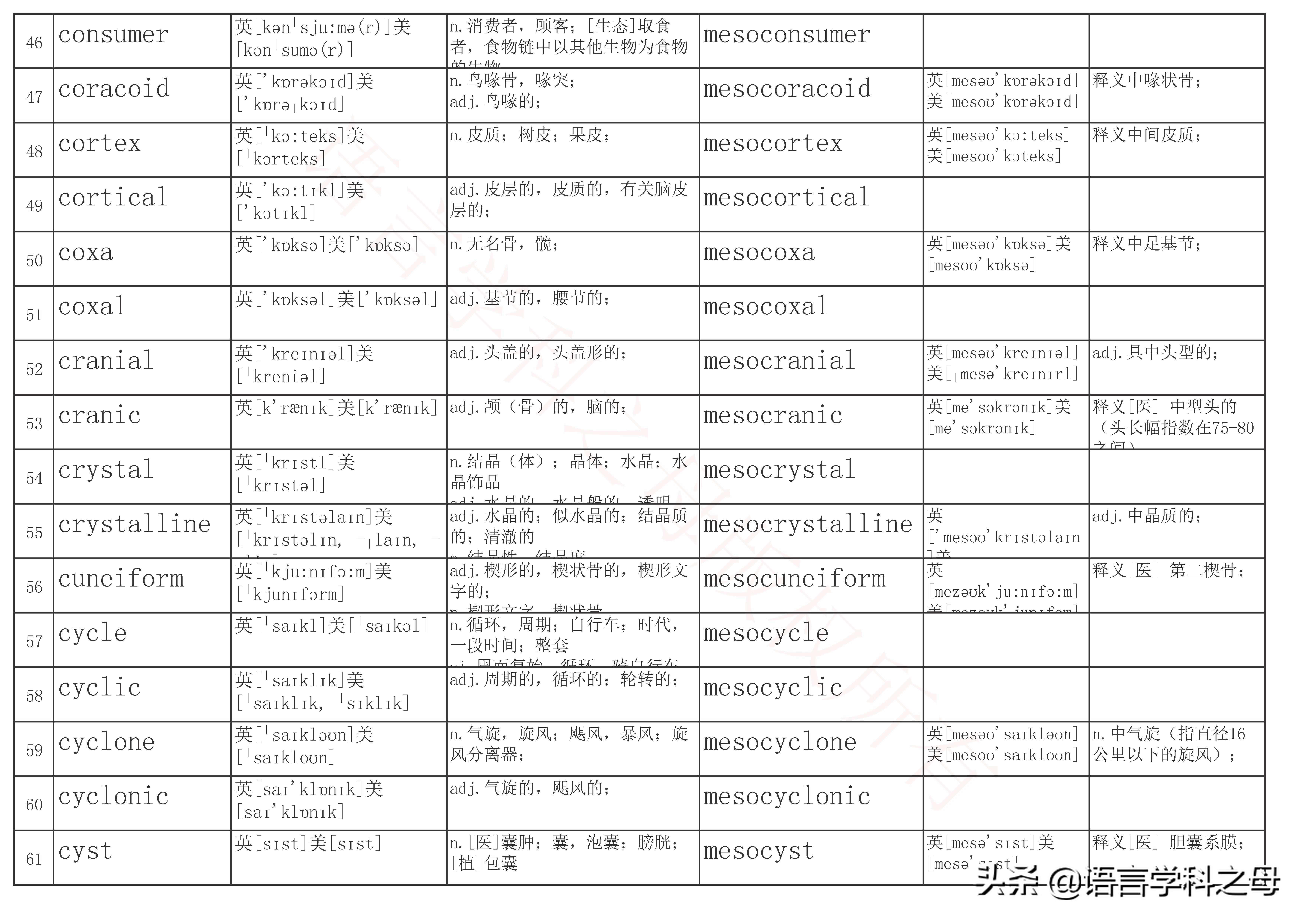 mid为前缀常见的单词,mid为前缀的单词有哪些