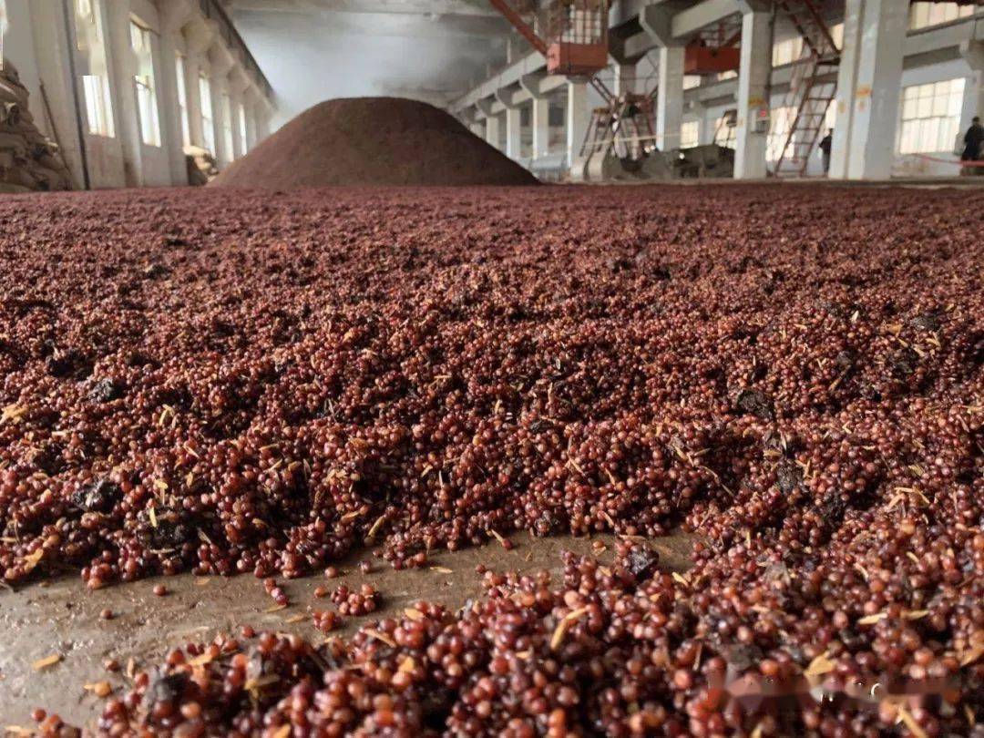 黔庄酒好喝吗,黔庄酒业知识分享如何识别酱香酒