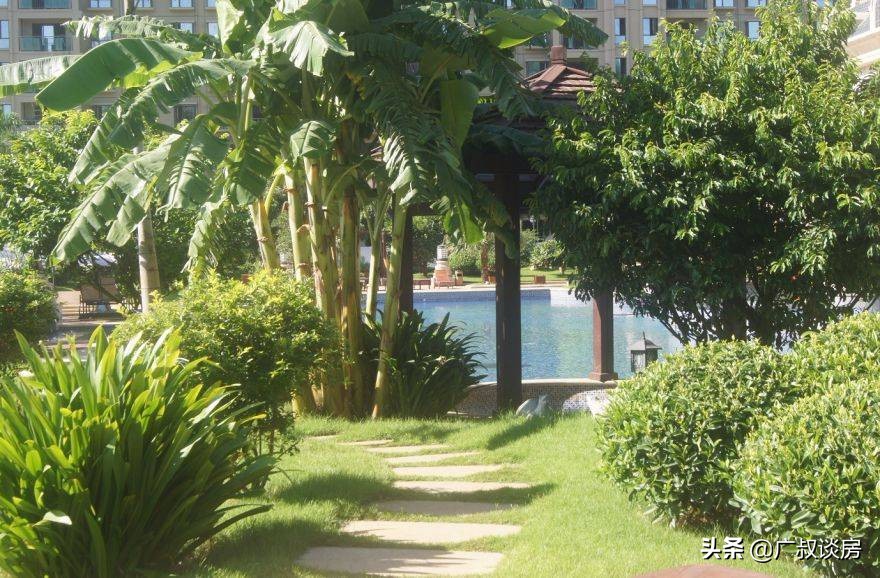 广州楼市放盘潮,广州楼市避坑区域