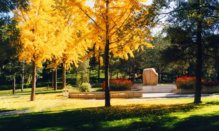 想要上清华高中三年如何规划,满足了这几点不用高考也能上清华