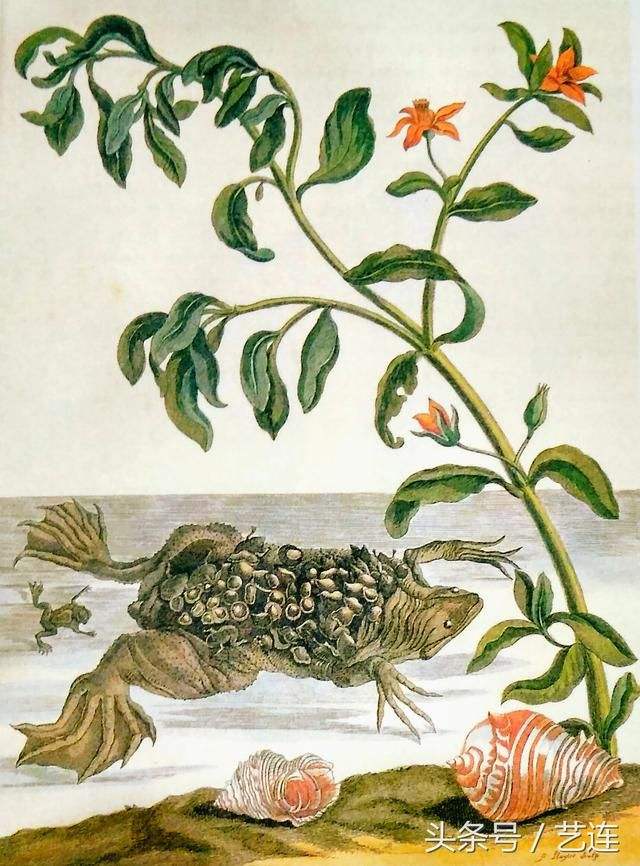 在女儿国,在女儿国男人会怎样