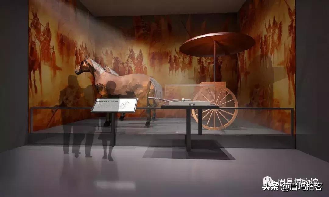 额敏县博物馆讲解员招聘,眉县博物馆讲解员招聘