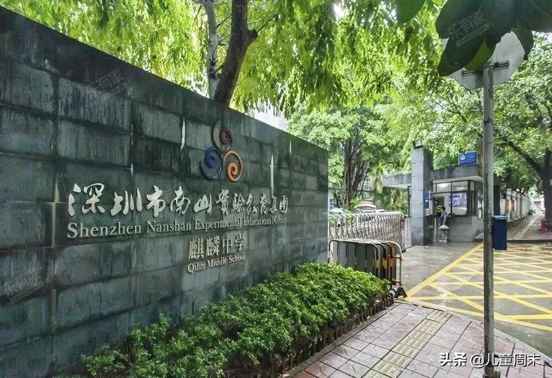 王炸组合深圳,王炸学区房