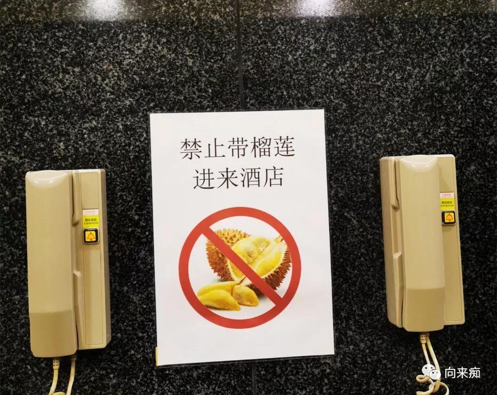 泰国一人行芭提雅旅游攻略,一人行芭提雅旅游攻略