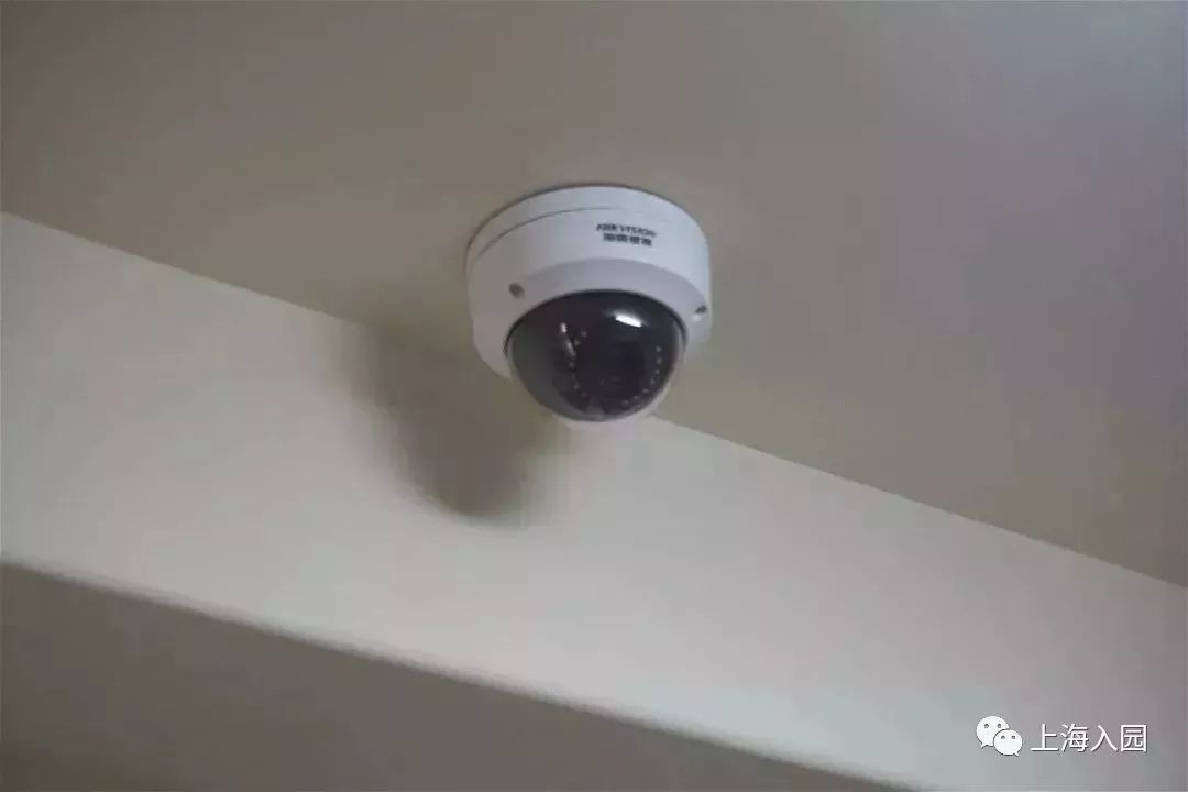 探园幼儿园环境,探园幼儿园招远