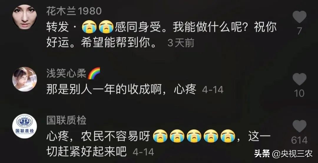 大冰雹过后农民手捧樱桃哭泣,冰雹果农哭了