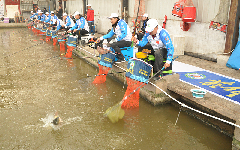 百万级钓鱼比赛,618钓鱼大赛