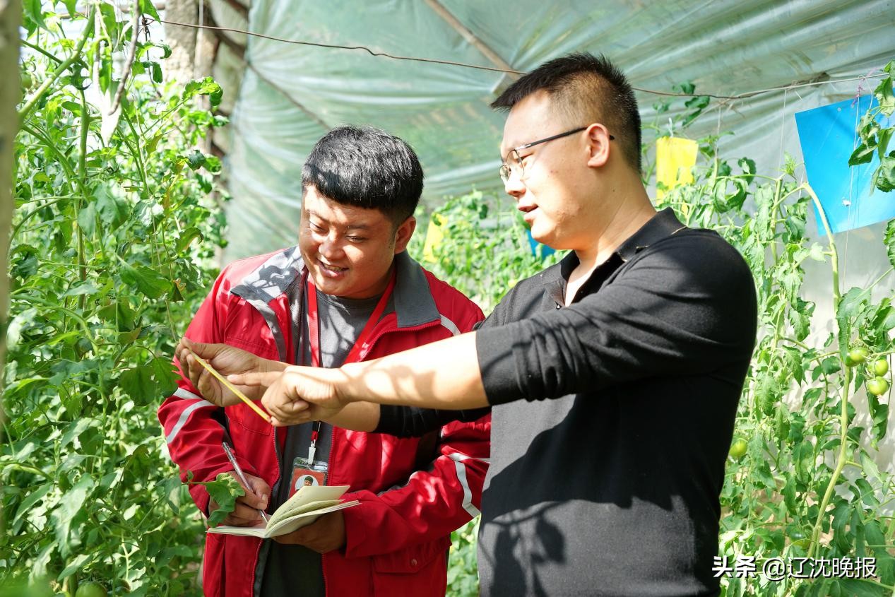 快递打通果农致富路,快递打通乡村电商扶贫