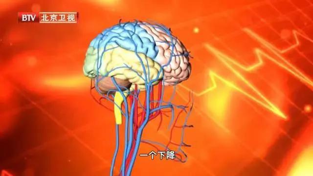 益生菌如何在肠道中发挥功效,益生菌在肠道是如何发挥作用的