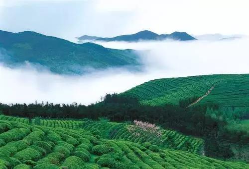 明明可以靠颜值偏要拼实力,明明可以靠颜值却偏偏要拼实力