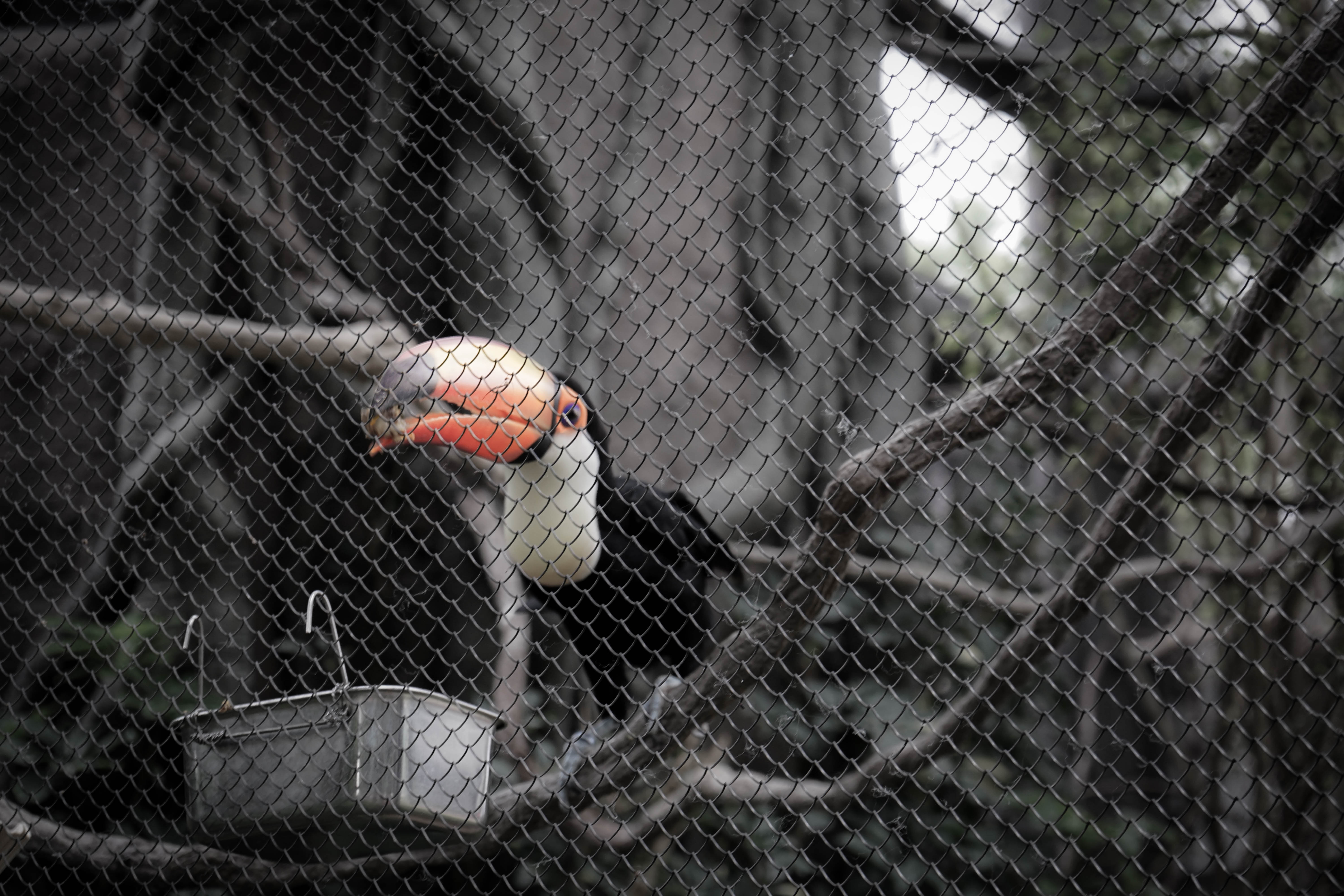 塞班蜜月旅游照,塞班岛蜜月自由行攻略