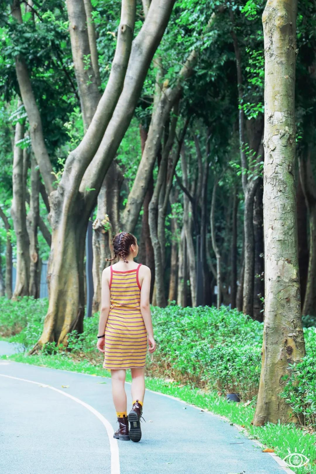 深圳这10条绿道你去过没,深圳十大绿道排行榜