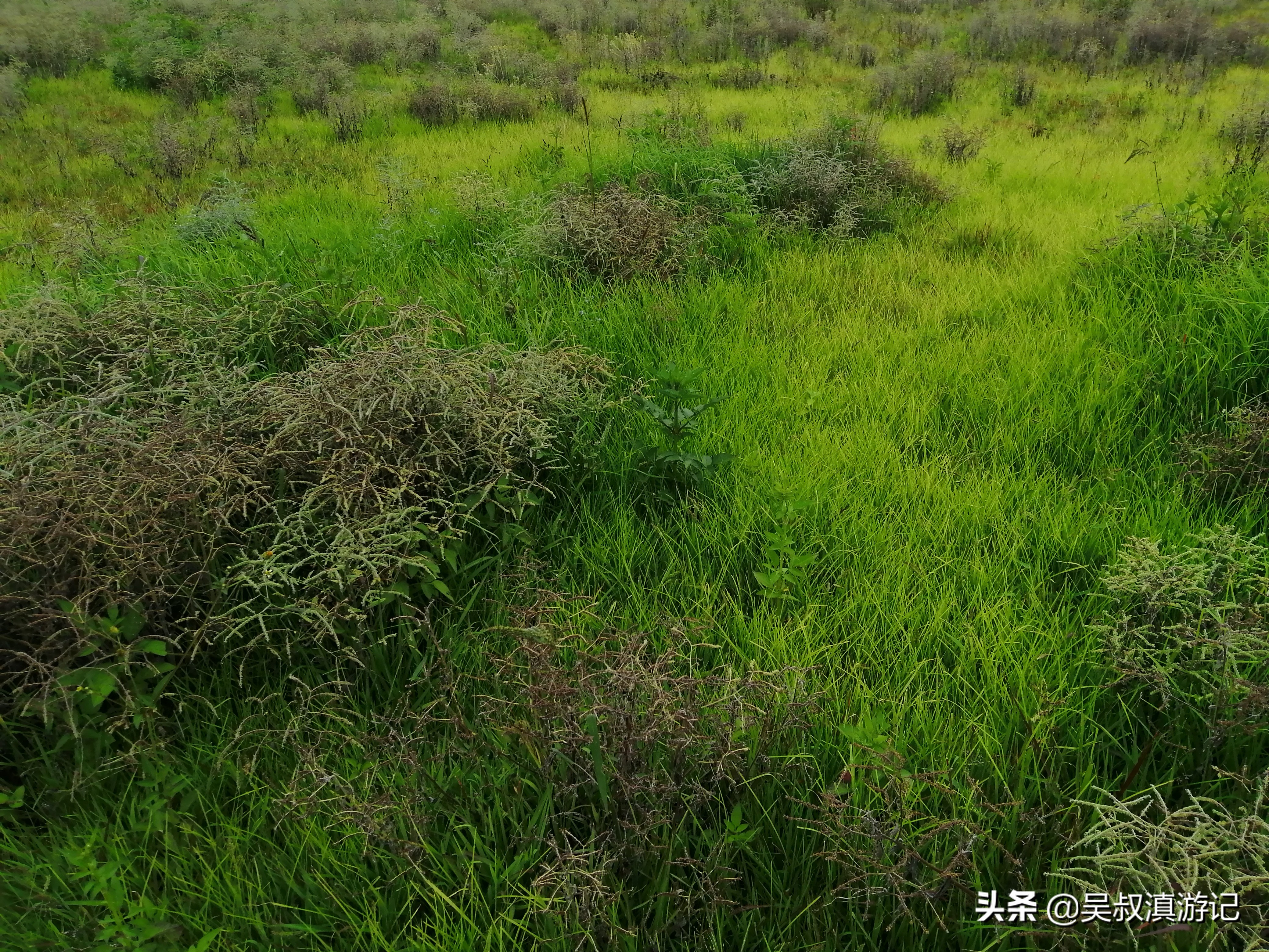 寻找石盆寺没有意外发现，却有别样风景和独特经历，真值了