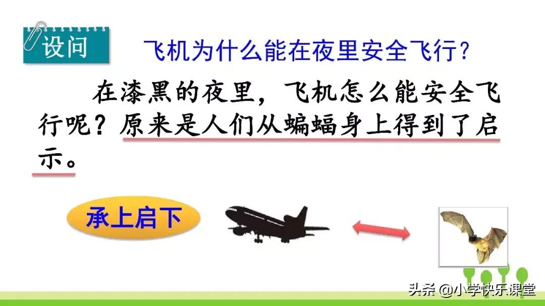 四年级上册语文蝙蝠和雷达课后题,部编版四年级上册语文蝙蝠和雷达
