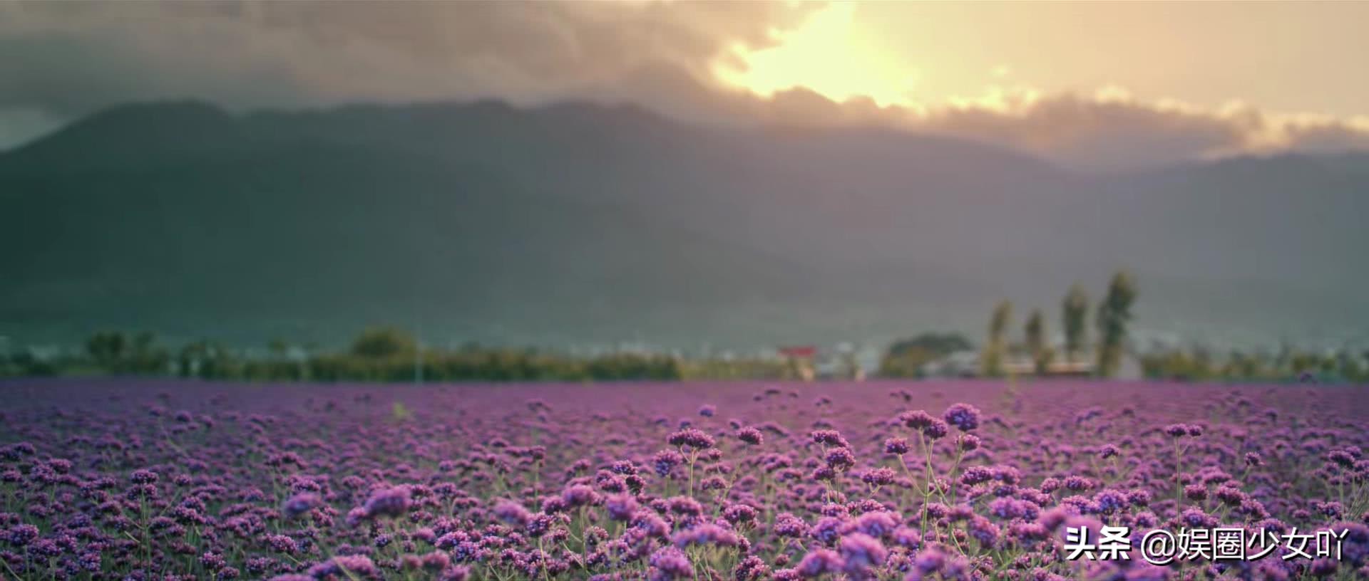 陈晓景甜觉得他们两个会在一起吗,陈晓景甜虐心