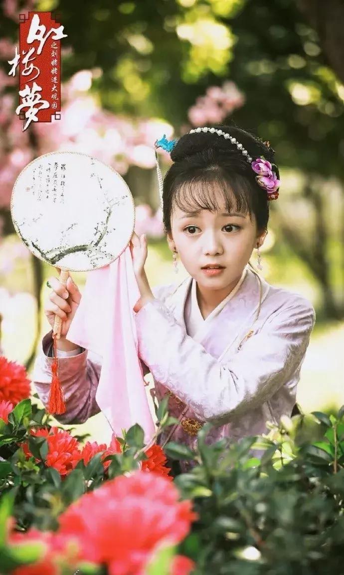 读红楼梦好多生僻字怎么办,红楼梦里你不认识的生僻字