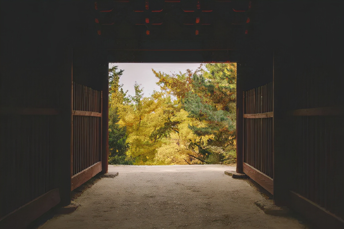 秋色正艳|掌握这6个小技巧，教你拍出绝美秋景