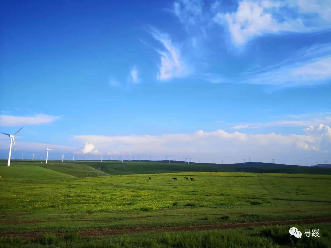 内蒙古大草原自驾游精品线路,辉腾锡勒草原黄花沟旅游攻略