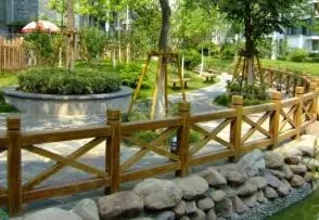 大树移植恢复要几年,大树移植根部的处理