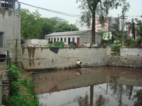 上海的黄浦江有多脏,上海的河道为什么那么臭