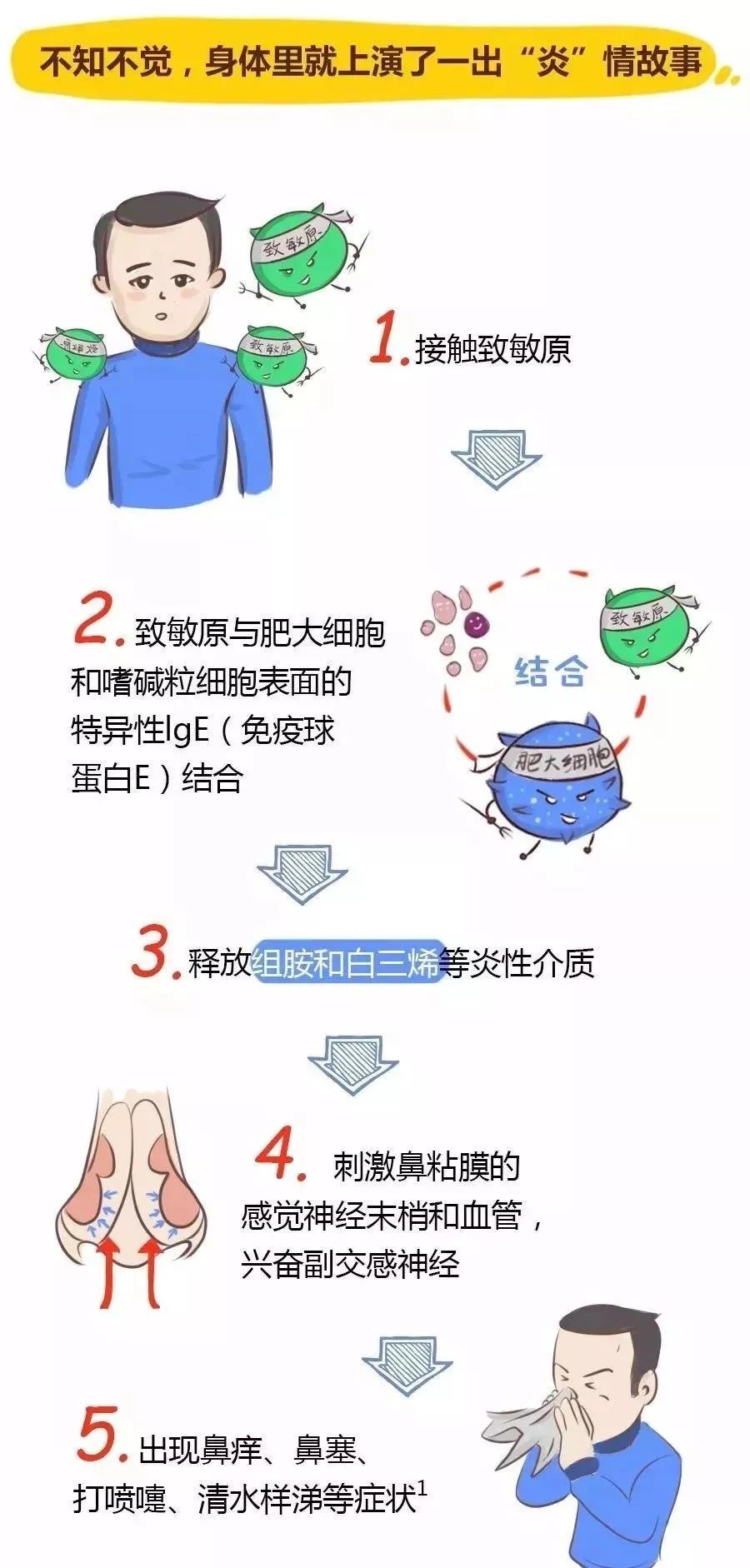 过敏性鼻炎怎么办春天秋天就发作,秋天过敏性鼻炎的原因