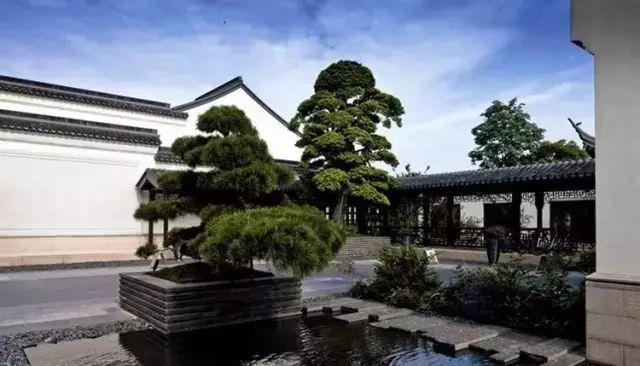 院子风景真美,中国人的院子